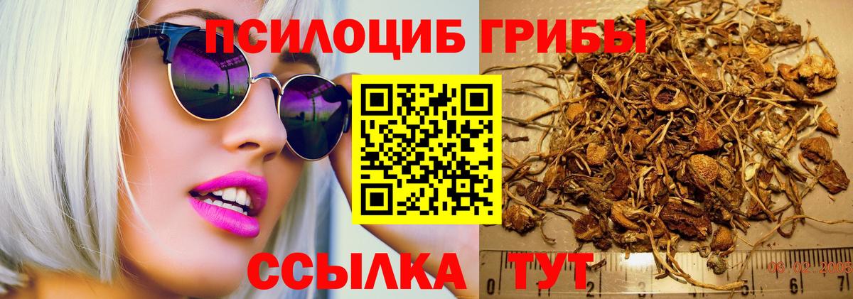Псилоцибиновые грибы Cubensis  купить наркоту  Воронеж  Вход с VPN 